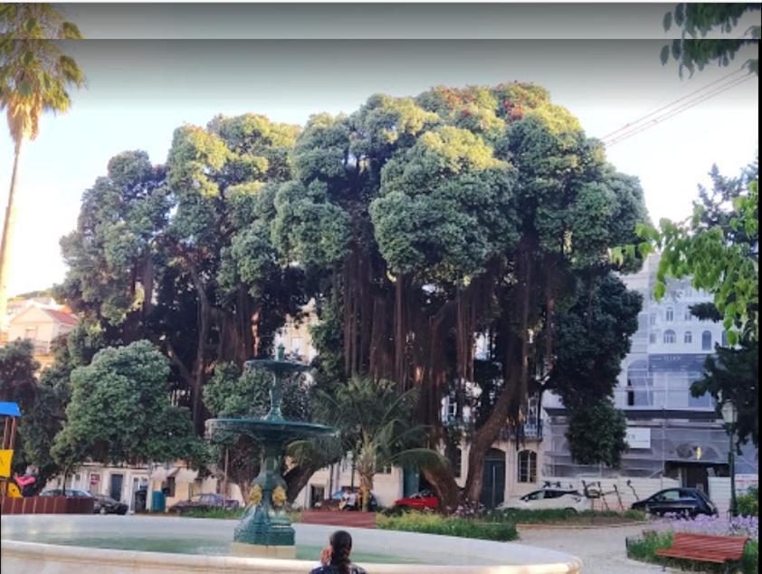 Alegramente Lejlighed Lisboa Eksteriør billede